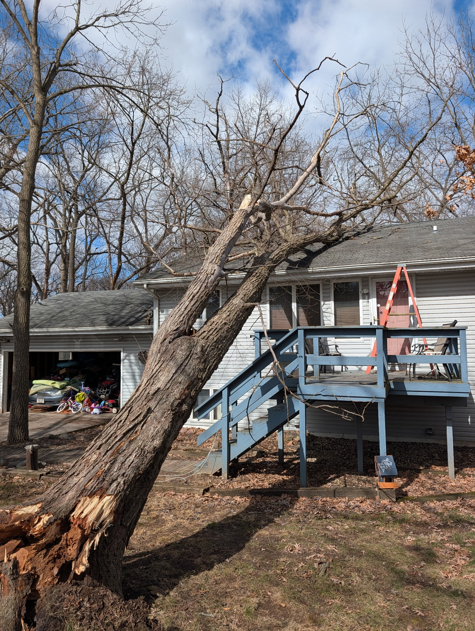 Storm Damage Restoration